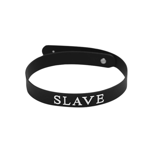 ad769-slave
